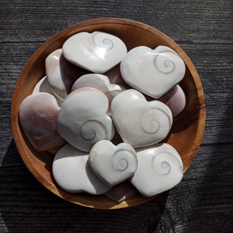 Shiva Eye Shell Heart