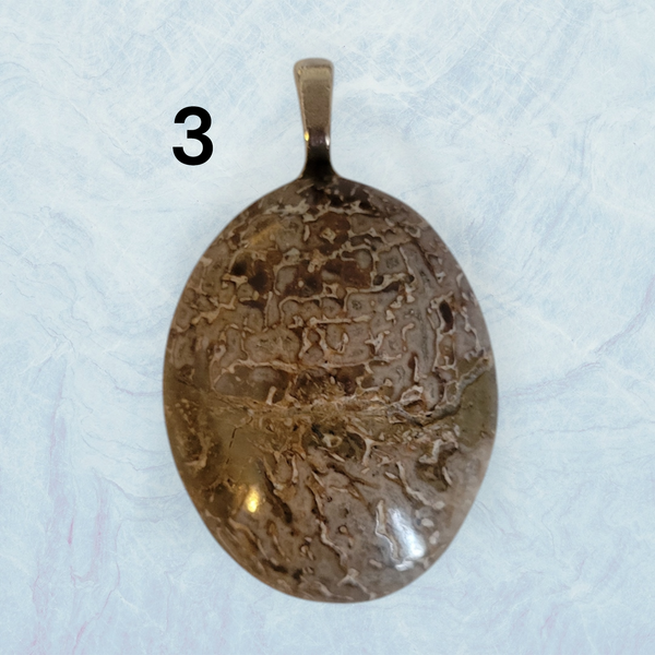 Genuine Fossil Dinosaur Bone Pendant