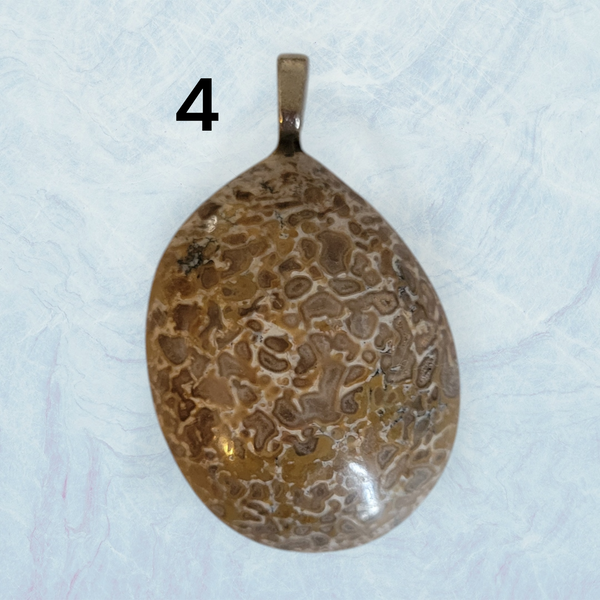 Genuine Fossil Dinosaur Bone Pendant