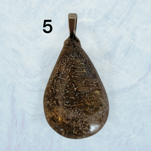 Genuine Fossil Dinosaur Bone Pendant