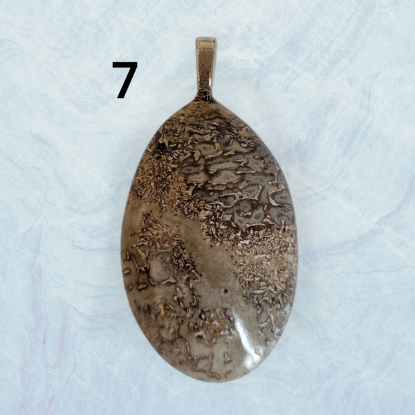 Genuine Fossil Dinosaur Bone Pendant